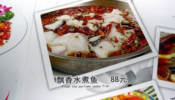 Float the perfume cooks fish x.jpg