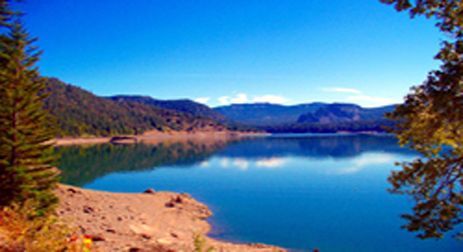 rimrock lake summer.jpg