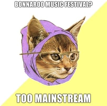 Bonnaroo-music-festival-Too-mainstream.jpg
