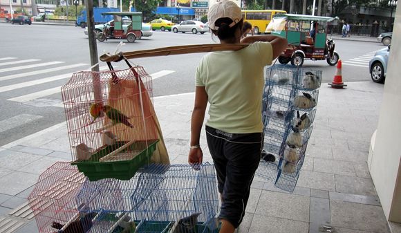 IMG_3575 mobile pet store.JPG