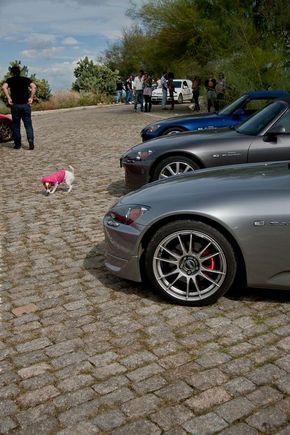 IMG_0586_resize.JPG