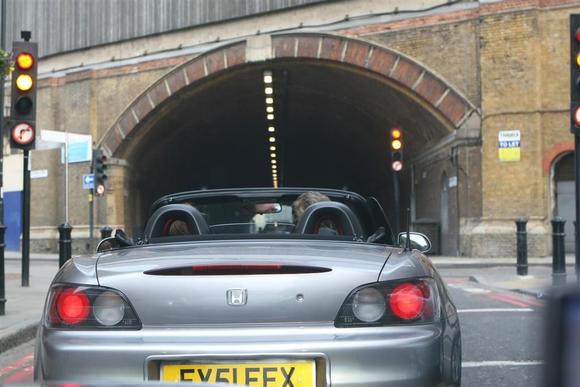 IMG 4186 (Large)