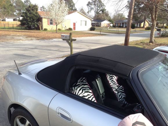 Linda M's AP1