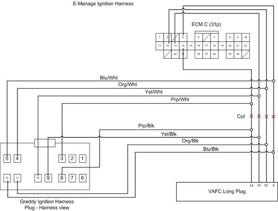 Emanage Ignition Loom.jpg