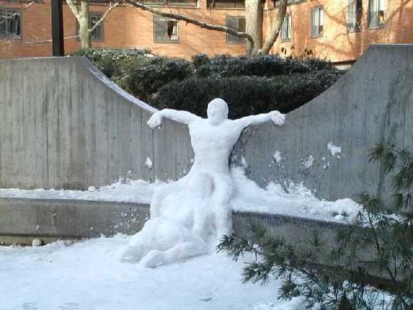 Winteris.jpg