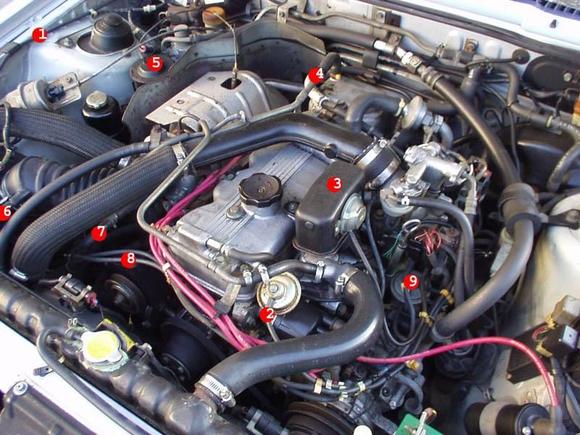 Bone Stock.jpg