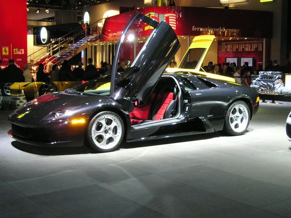 murcielago.JPG