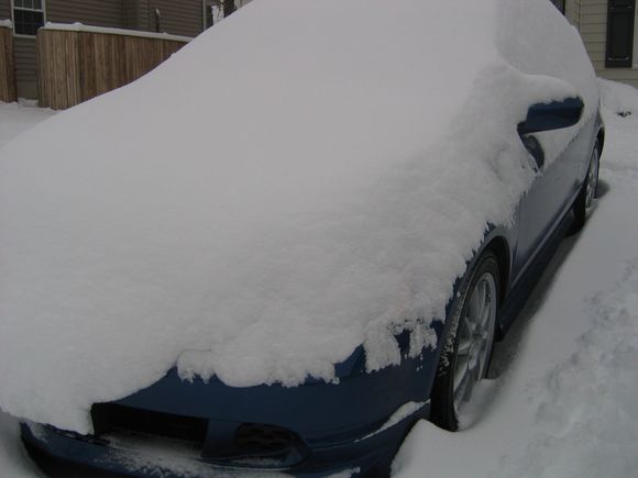 BLUE snow OWNz.JPG