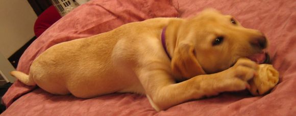 4maggie02-1.jpg