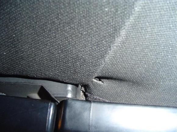 wtf2 (Small).jpg