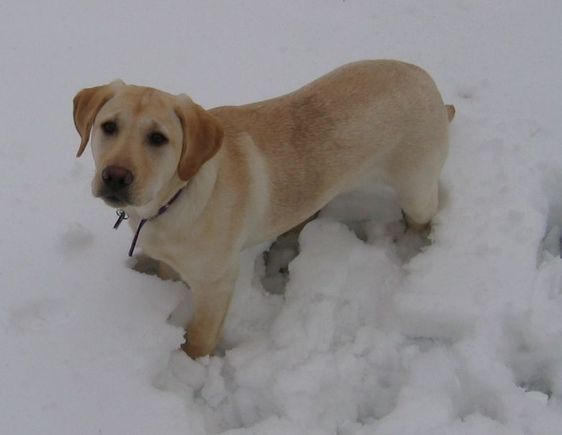 Maggie2-21-4.jpg
