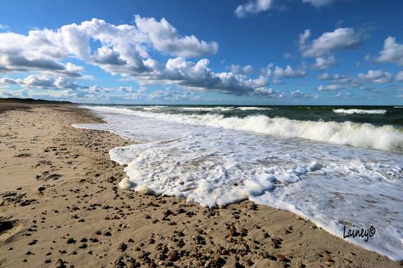 Sandy Neck Beach