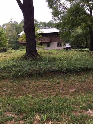 You may have to zoom in on this a bit. If you look on the right hand side of the house there is a bear there. I came home one afternoon and he was just lying there chilling out. By the time I got to my phone he had gotten up but he wasn’t moving too quickly.