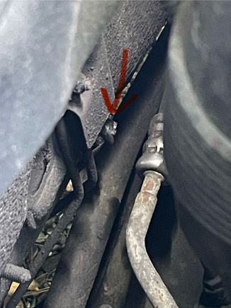 This photo is from the top looking down