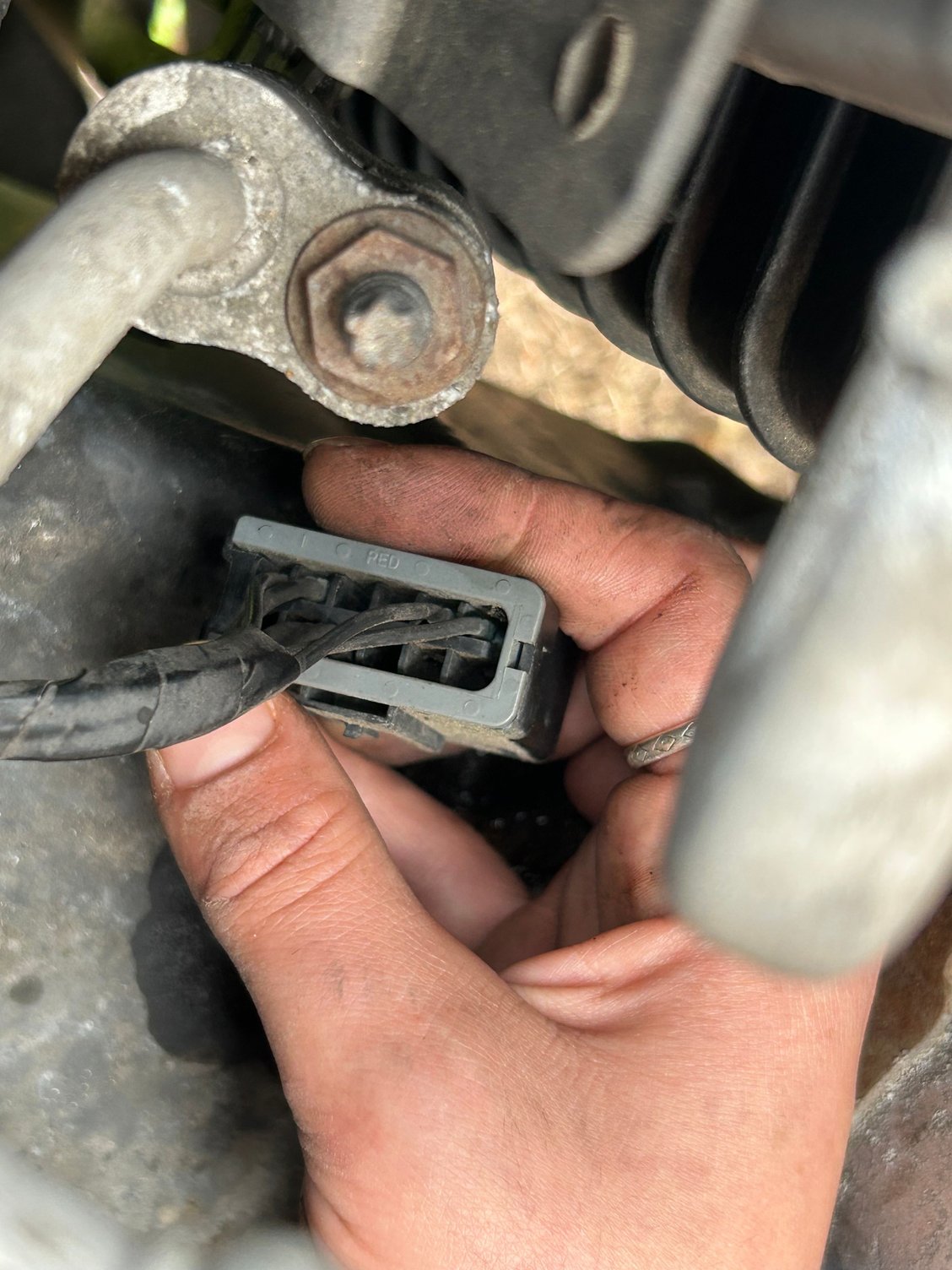 Wired into assumed splice rack 