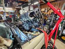 Caught the big fish.