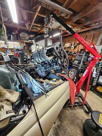 Caught the big fish.