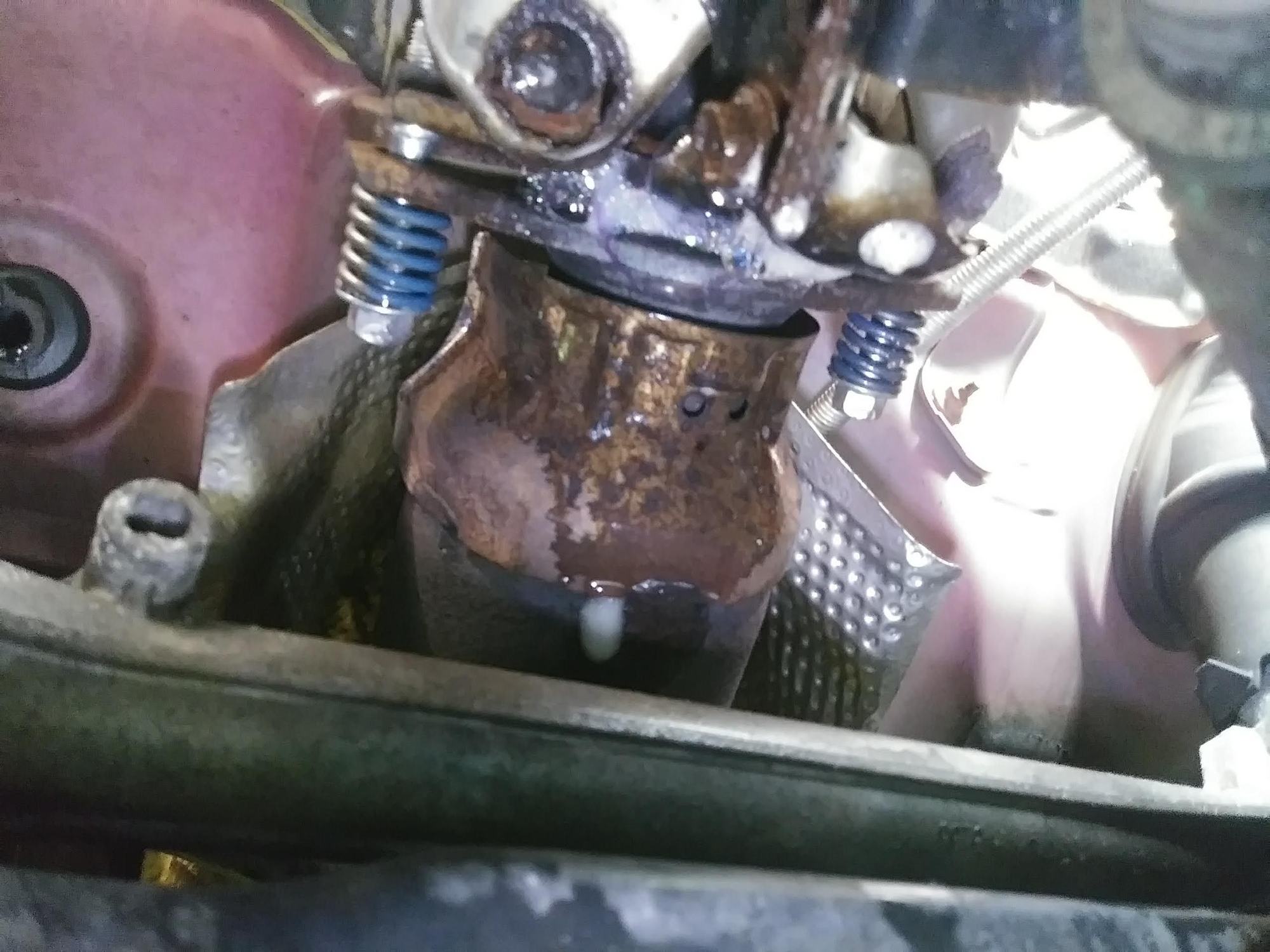 Exhaust Gasket or Something Else? Photo attached