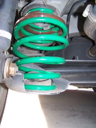 Tein Springs