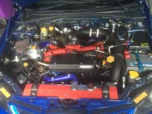 My Post Pictures
