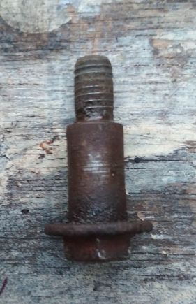 Bolt as removed from timing belt cover. Note the threads are choked up with something. Little did I know.....