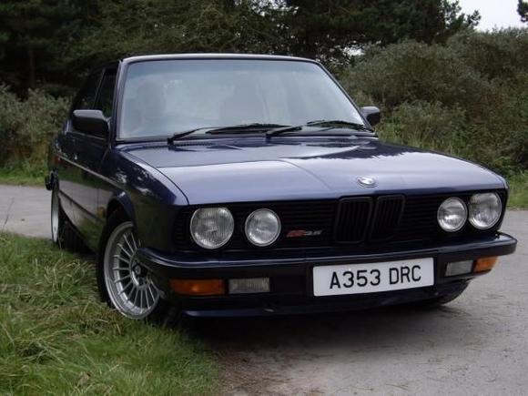 alpina1