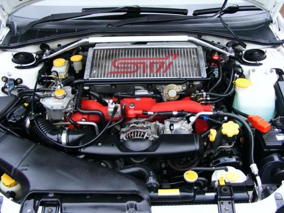 Spec C scooby 010