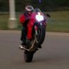 Superhawk Pictures