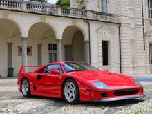 F40 in Parco Valentino. By Babylon Car Video