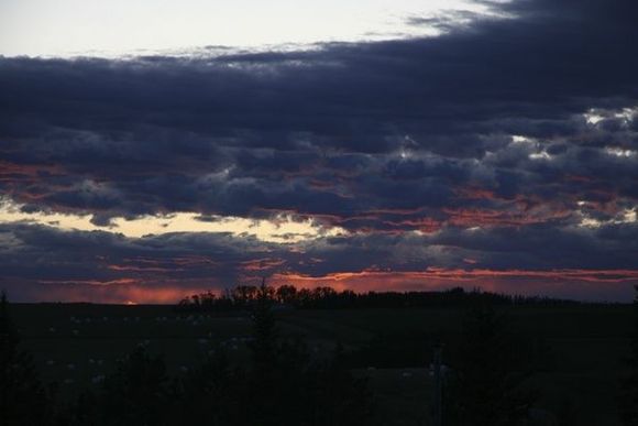 IMG 3454