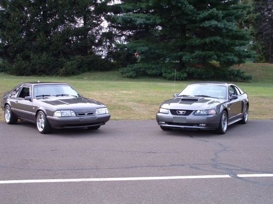 My Stang7