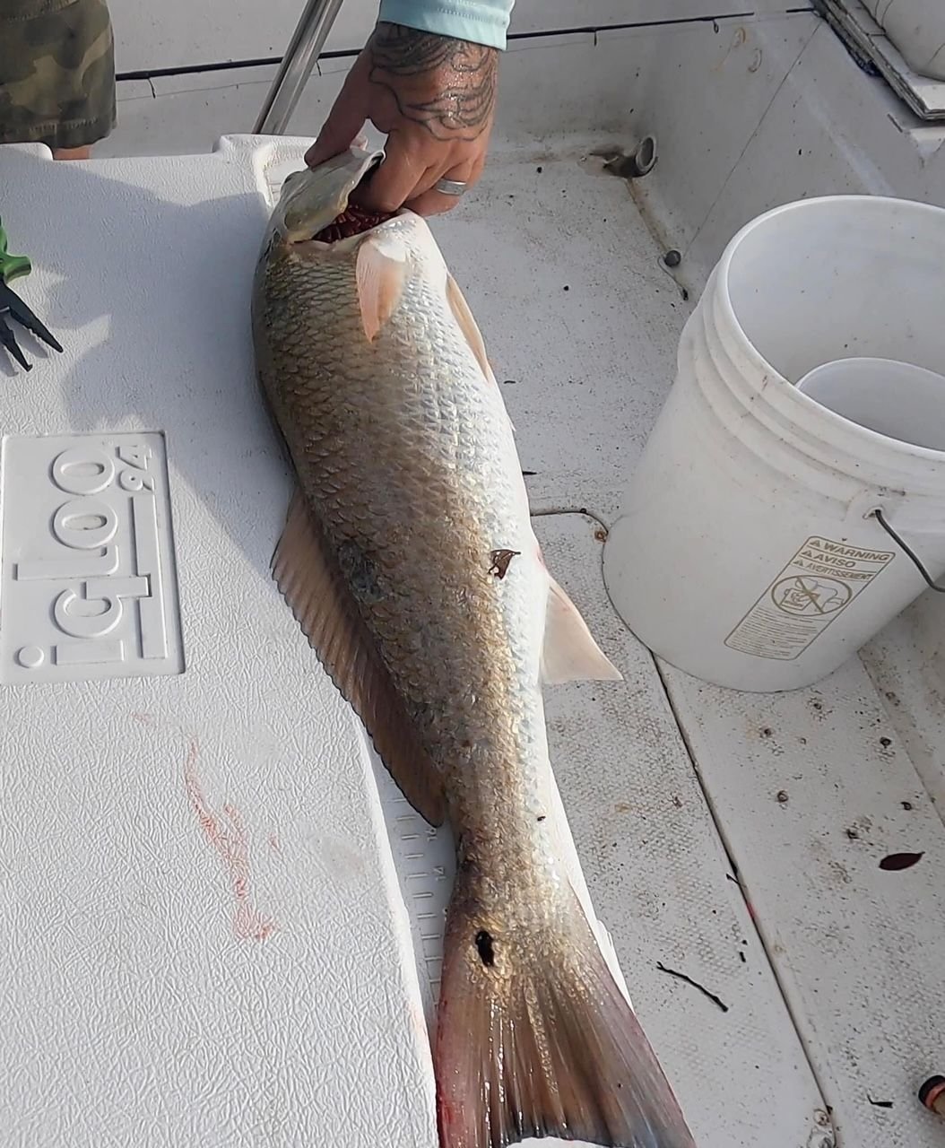 Ponce Inlet Weekly Reports Page 140 The Hull Truth Boating and