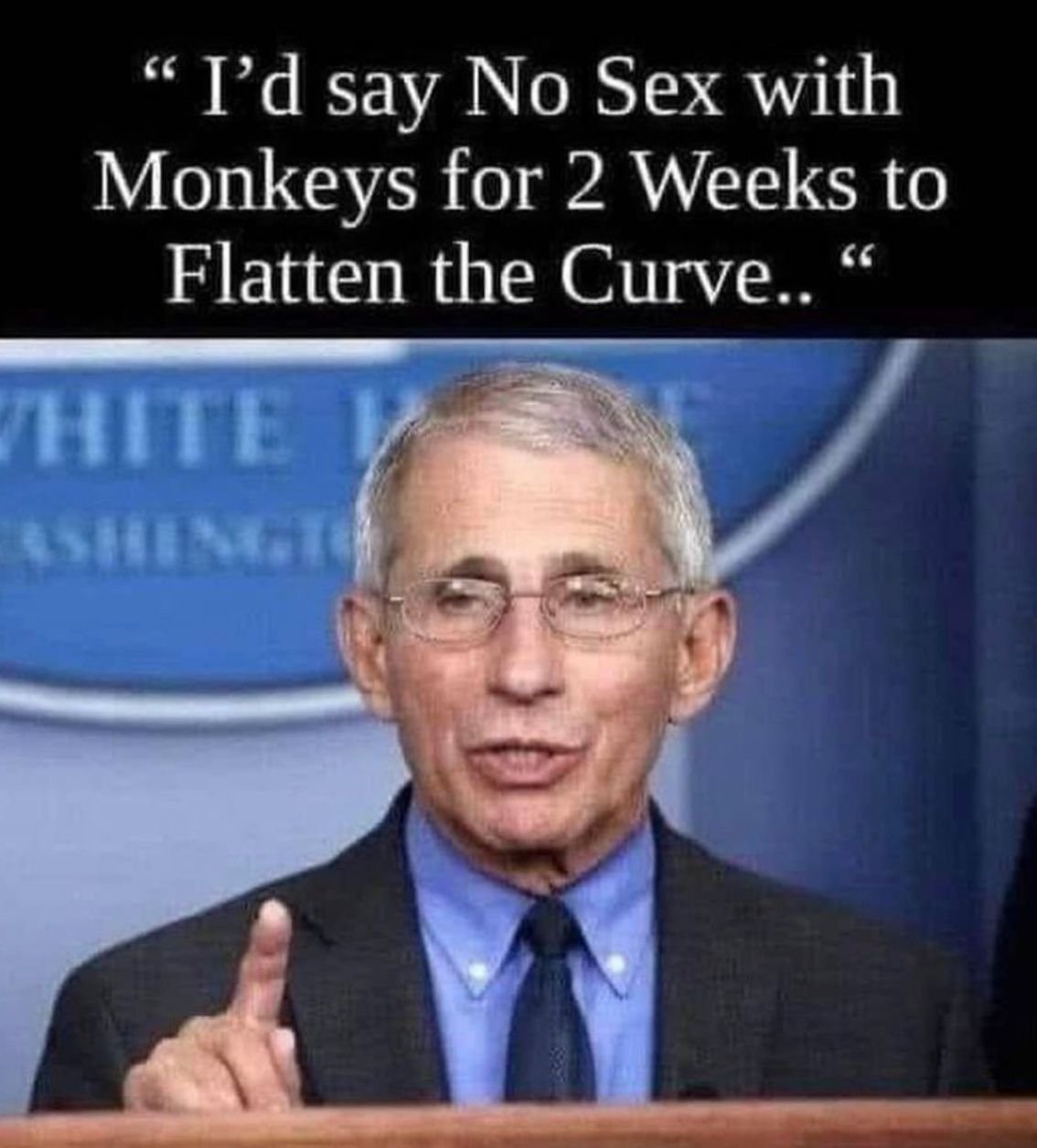 eeec9ced_cbcf_4a03_9990_4a5ef8035618_559