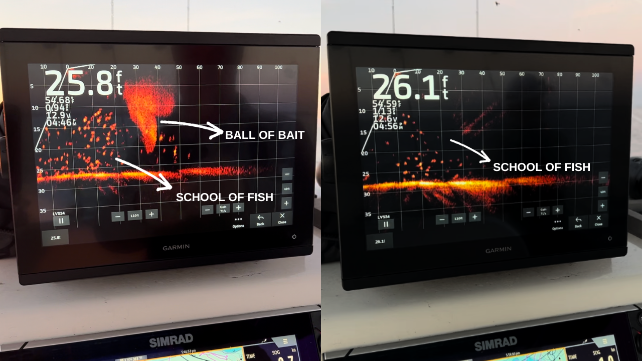 Fishing Equipment LiveScope, Garmin Panoptix LiveScope - See the Fishes!