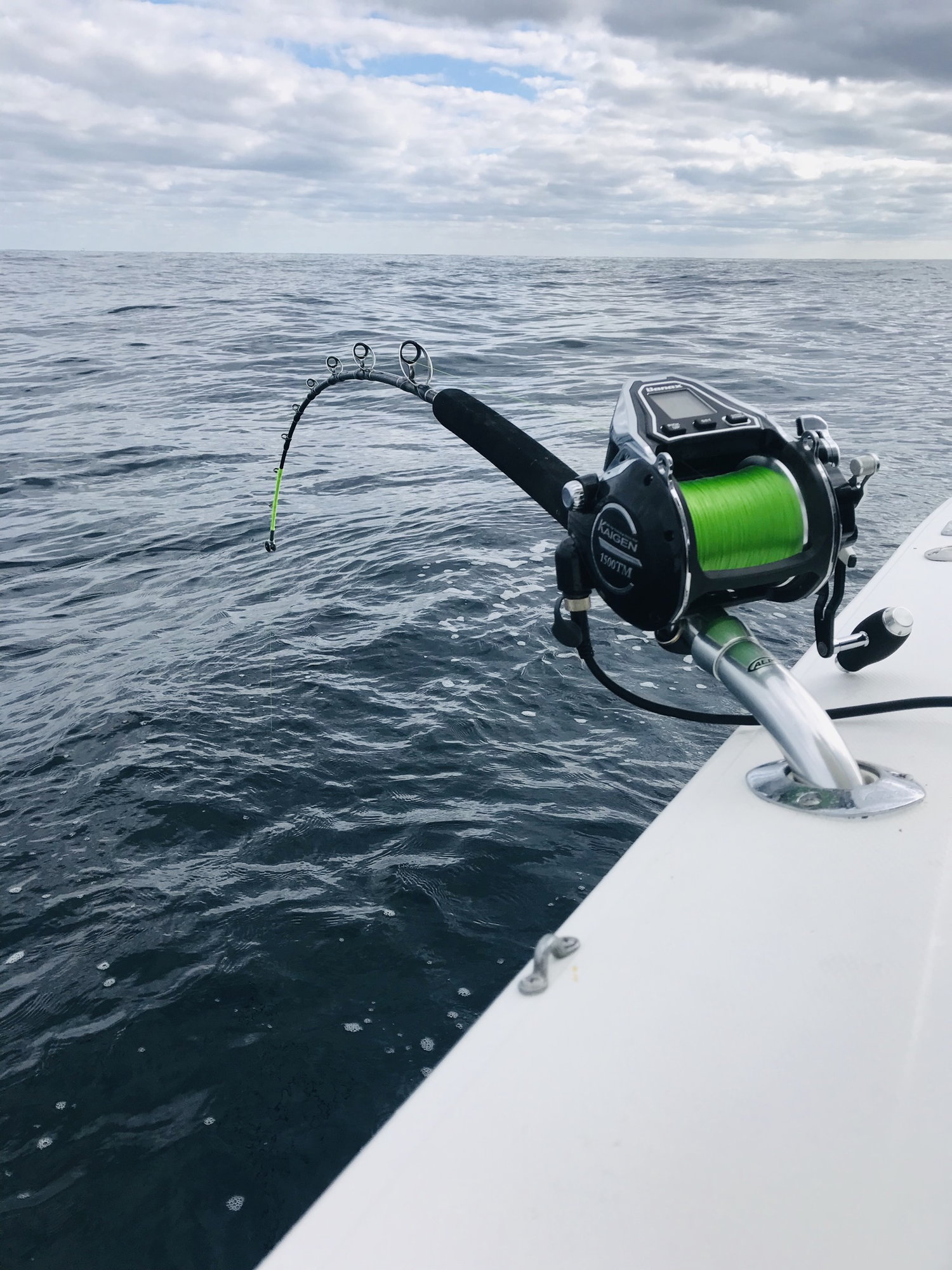 Banax Kaigen 1500TM - strip and check brand new reel - The Hull Truth -  Boating and Fishing Forum