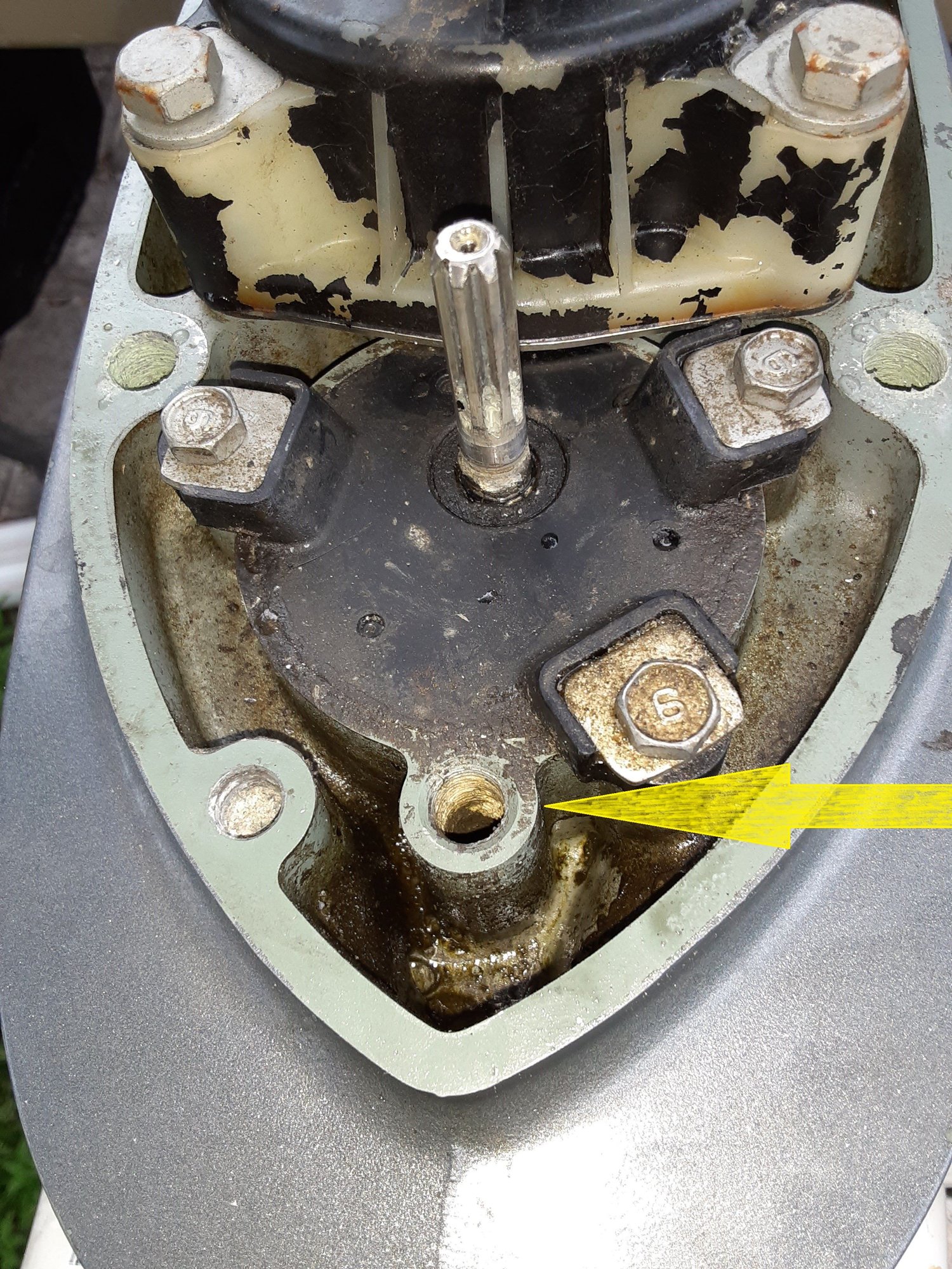 1999 Yamaha Lower unit leak The Hull Truth Boating and Fishing Forum