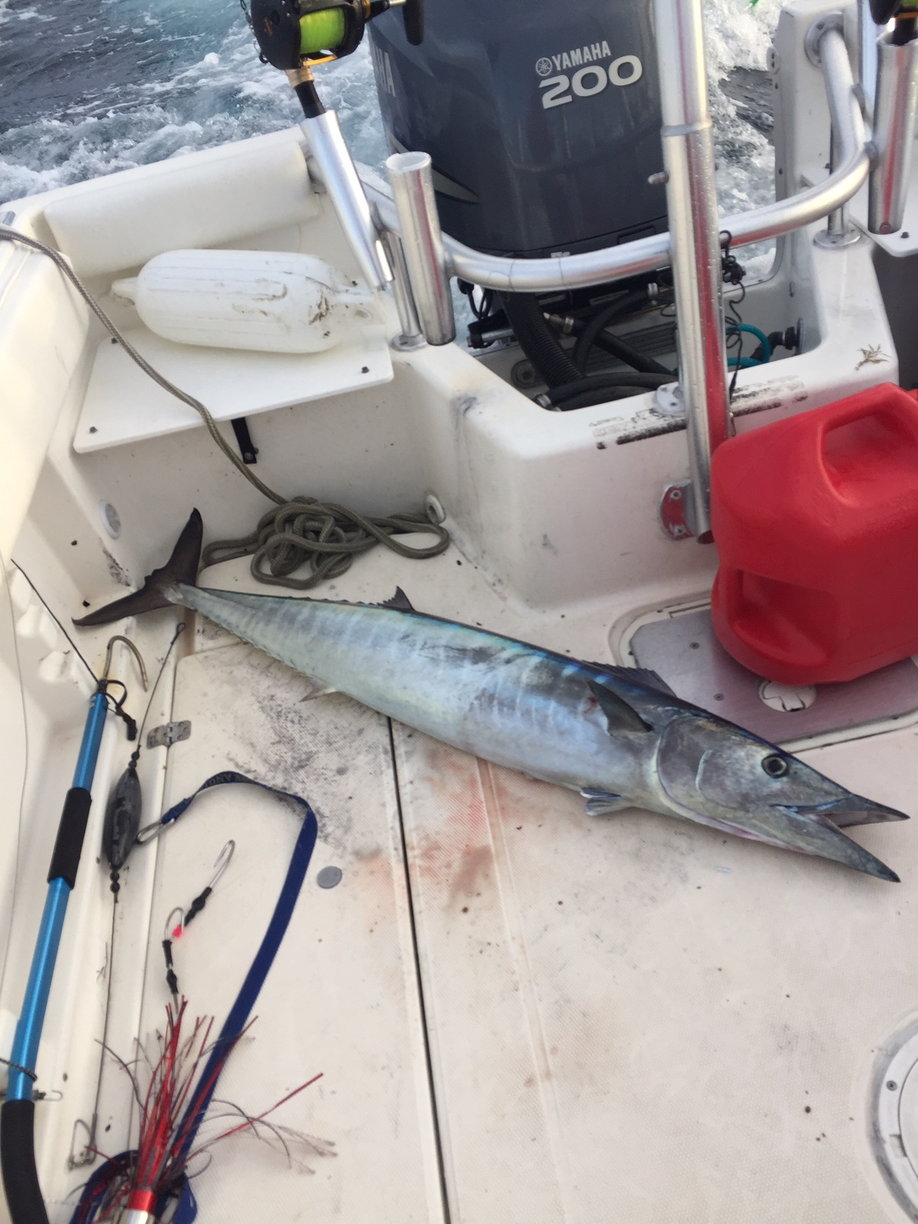 High Speed wahoo trolling - Page 3 - The Hull Truth - Boating and