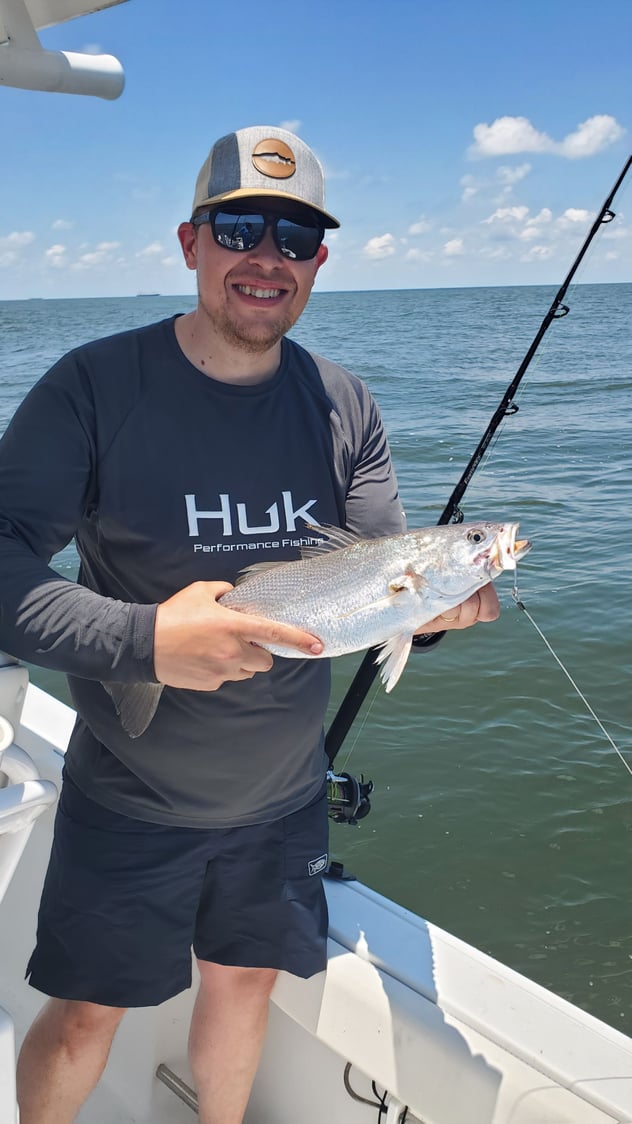 Fish ID? - The Hull Truth - Boating and Fishing Forum