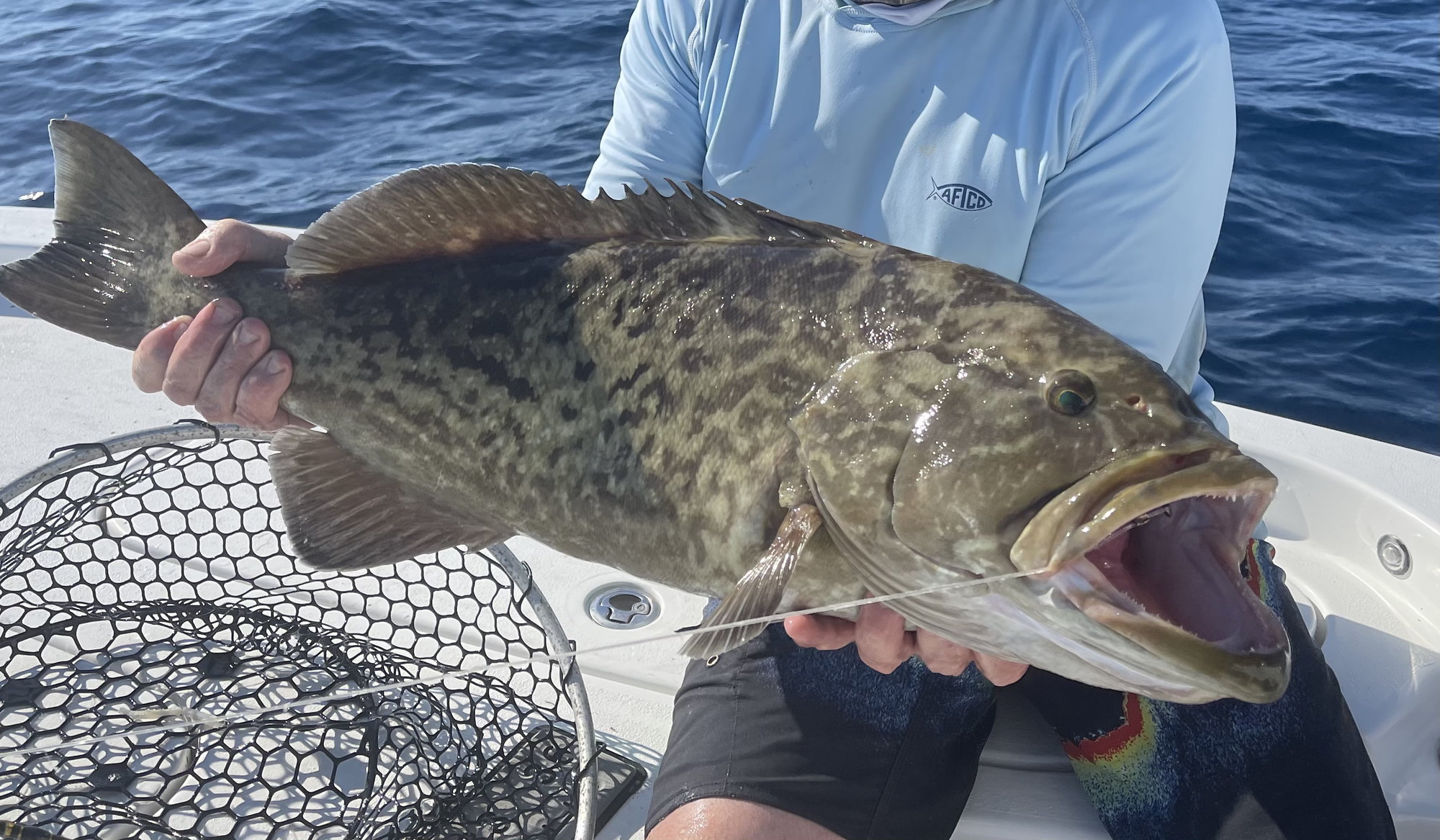 Smallest Reel Size for Snapper in 100 Feet - The Hull Truth