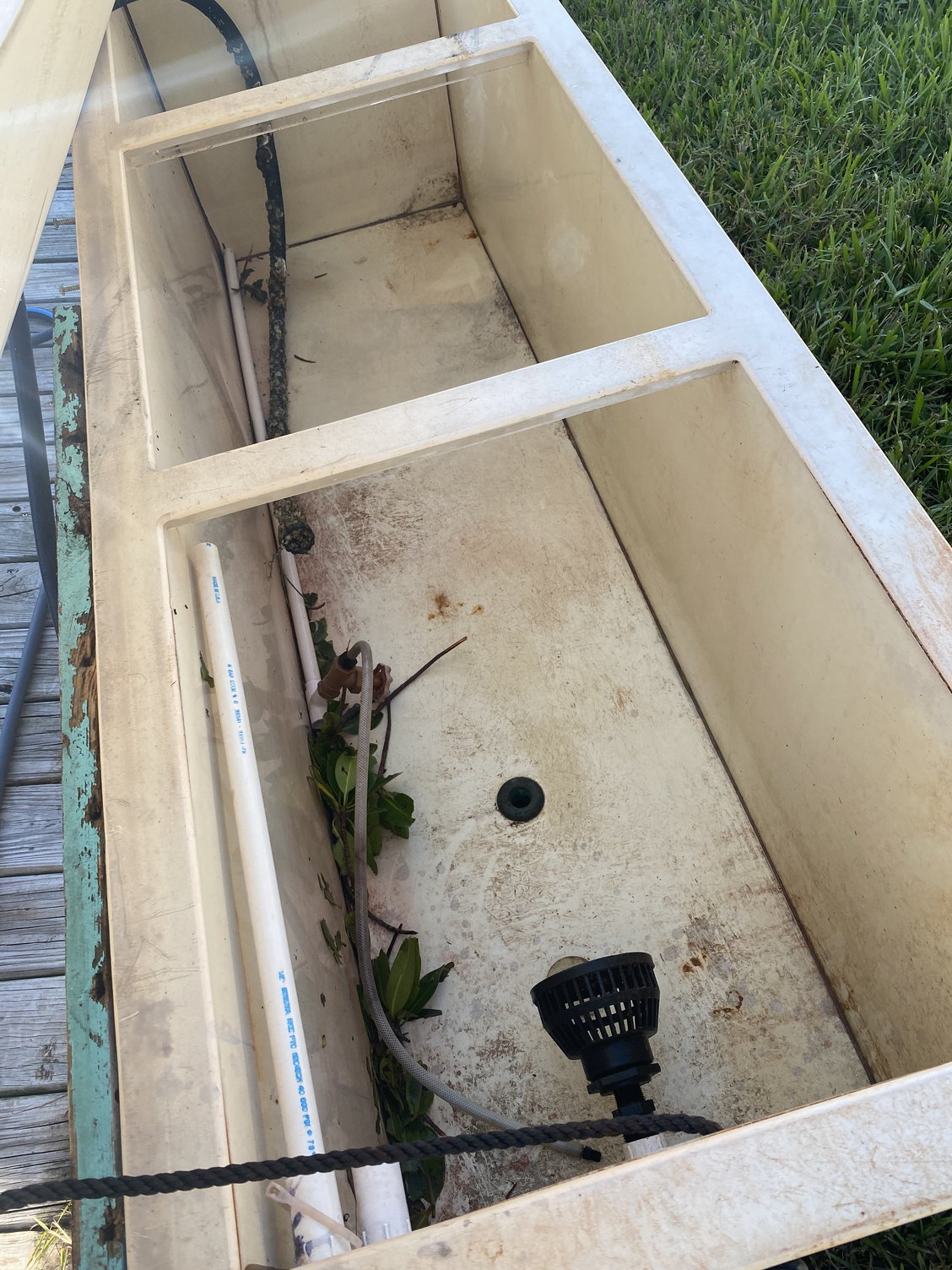DIY bait tank/livewell 