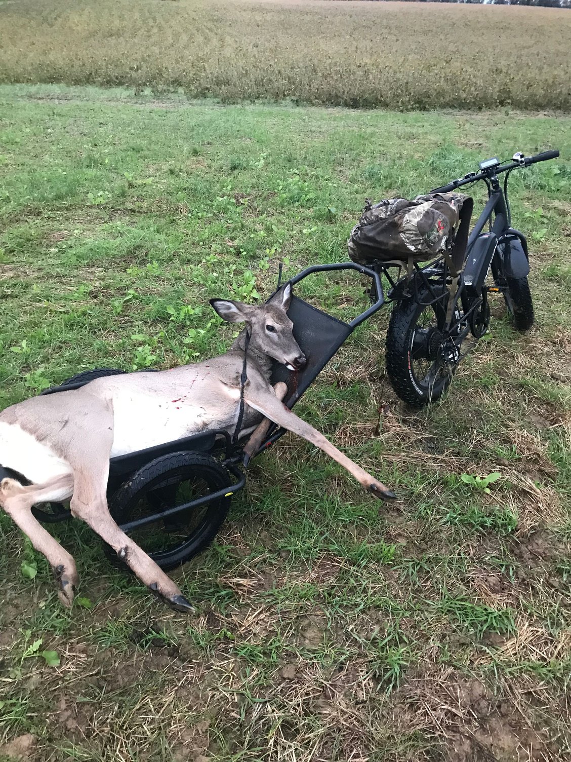 radrover hunting bike