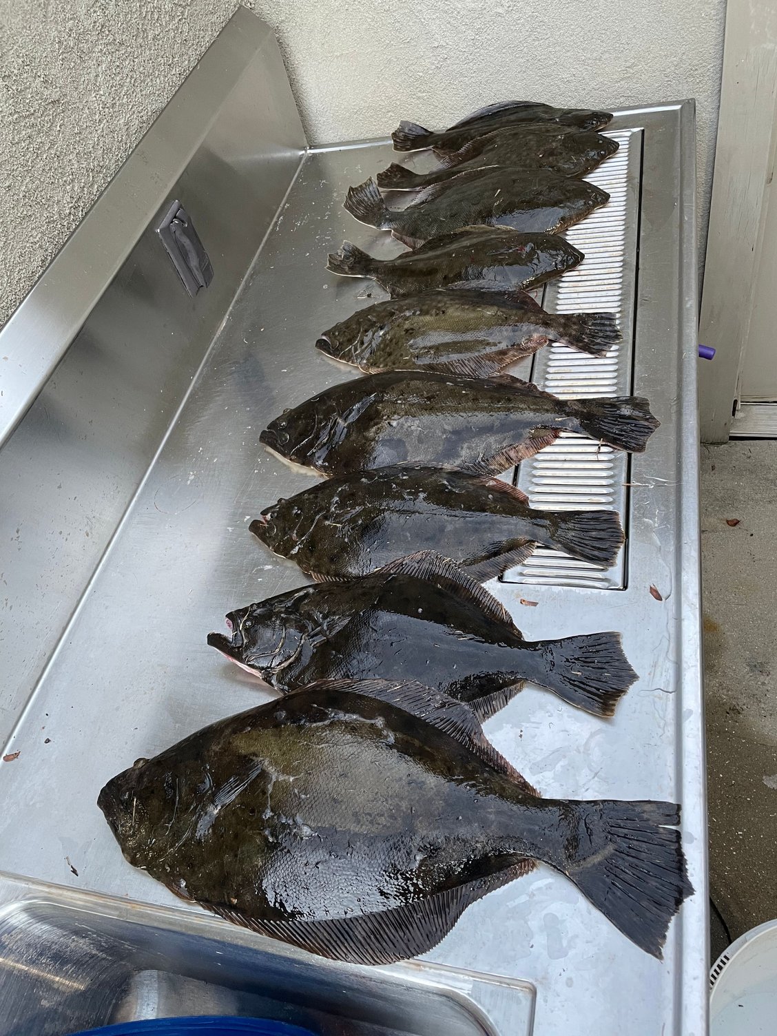 Best line for Flounder Fishing? - The Hull Truth - Boating and Fishing Forum