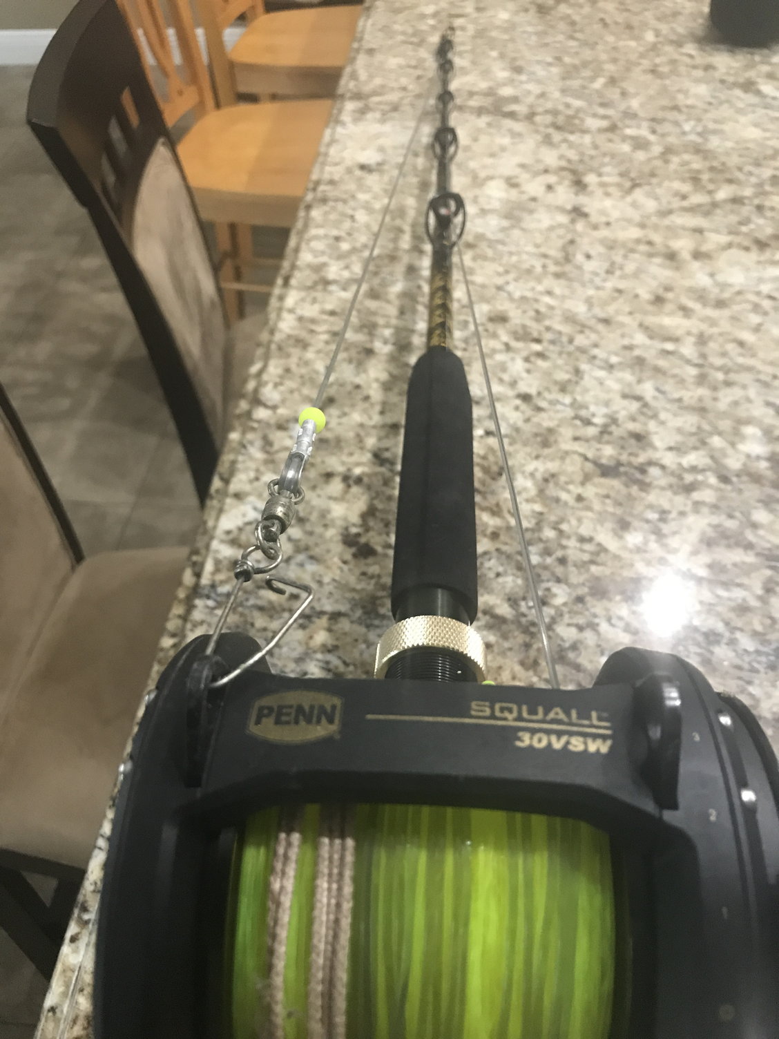 Penn Ally Bent Butt rod with Penn Reel - The Hull Truth - Boating and  Fishing Forum