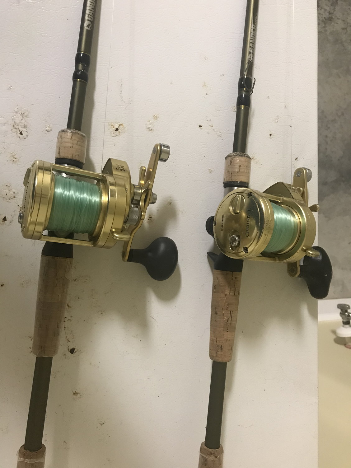 2 shimano Trinidad tn14 gold. NEW PRICE - The Hull Truth - Boating and  Fishing Forum