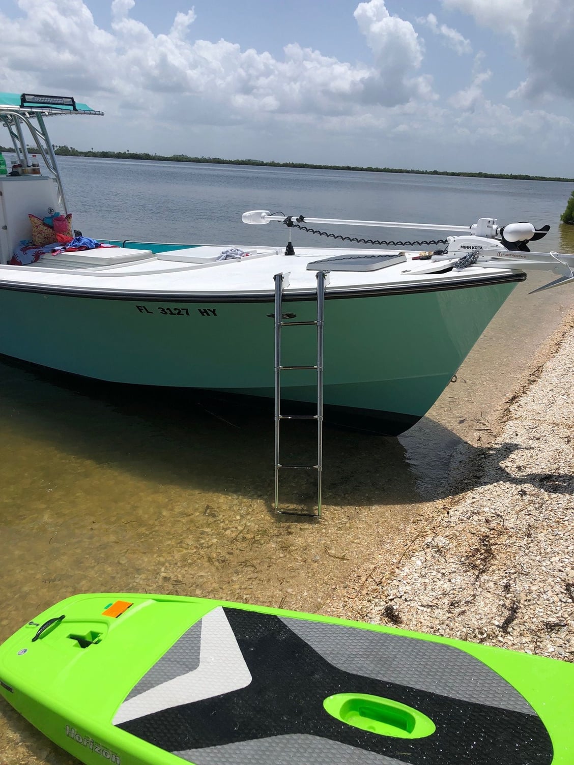 Quick detach ladder for the boat, cool product. - The Hull Truth - Boating  and Fishing Forum