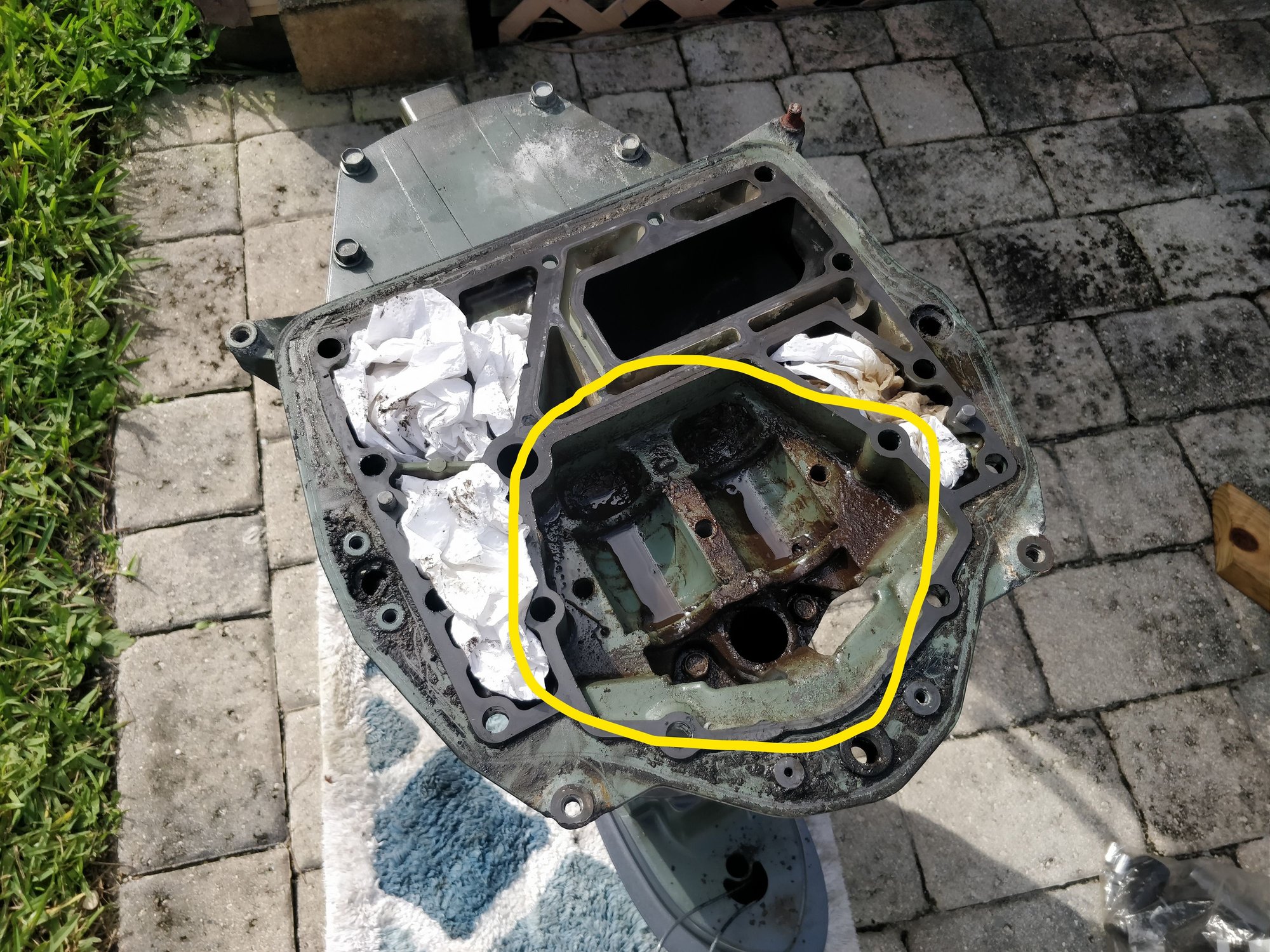 Anyone ever rebuild a Yamaha F150 Oil Pump??? The Hull Truth