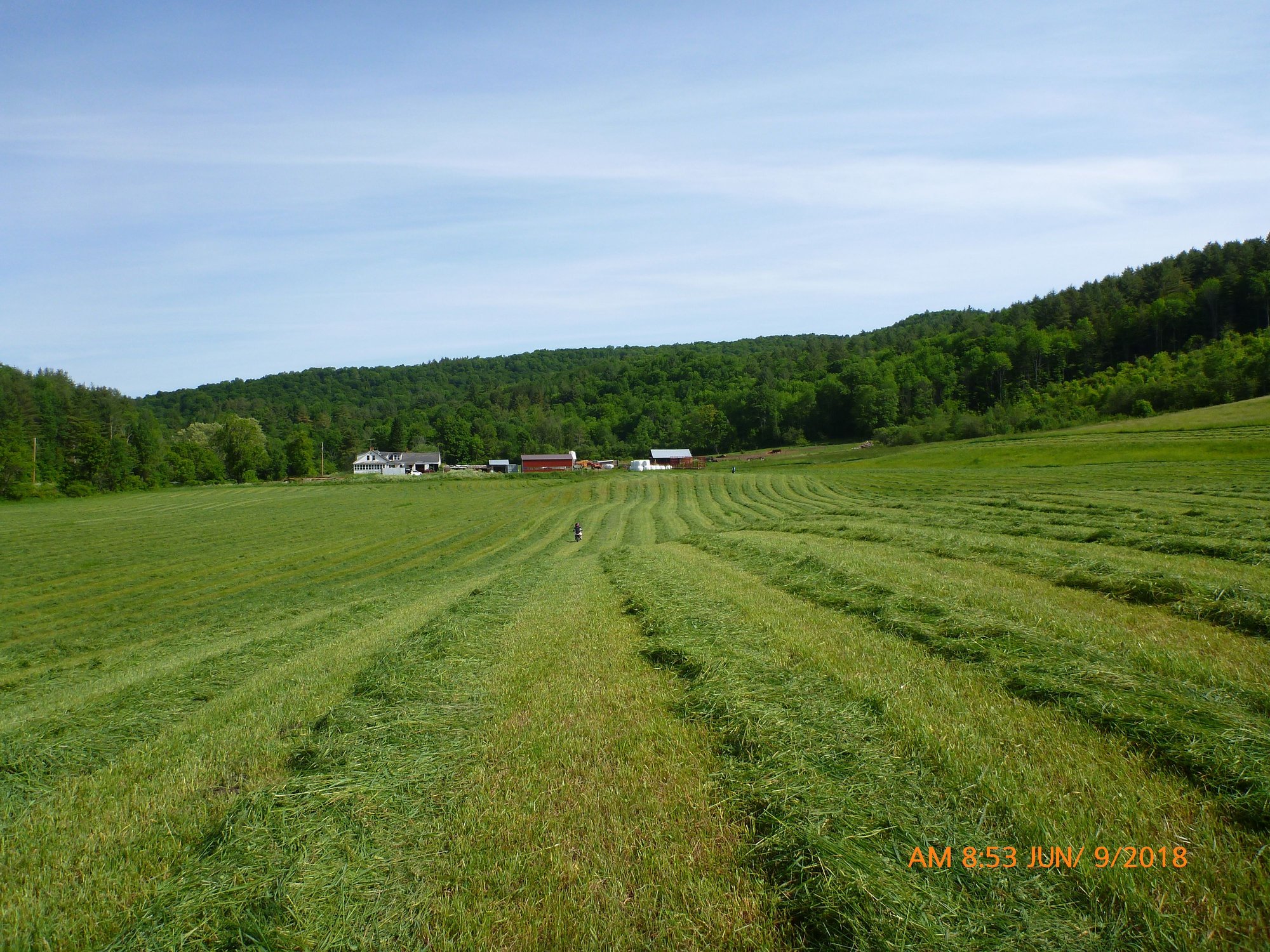 First cut on the hayfield means, we get/got to ride the hayfield (pics