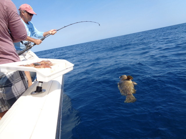 Smallest Reel Size for Snapper in 100 Feet - The Hull Truth