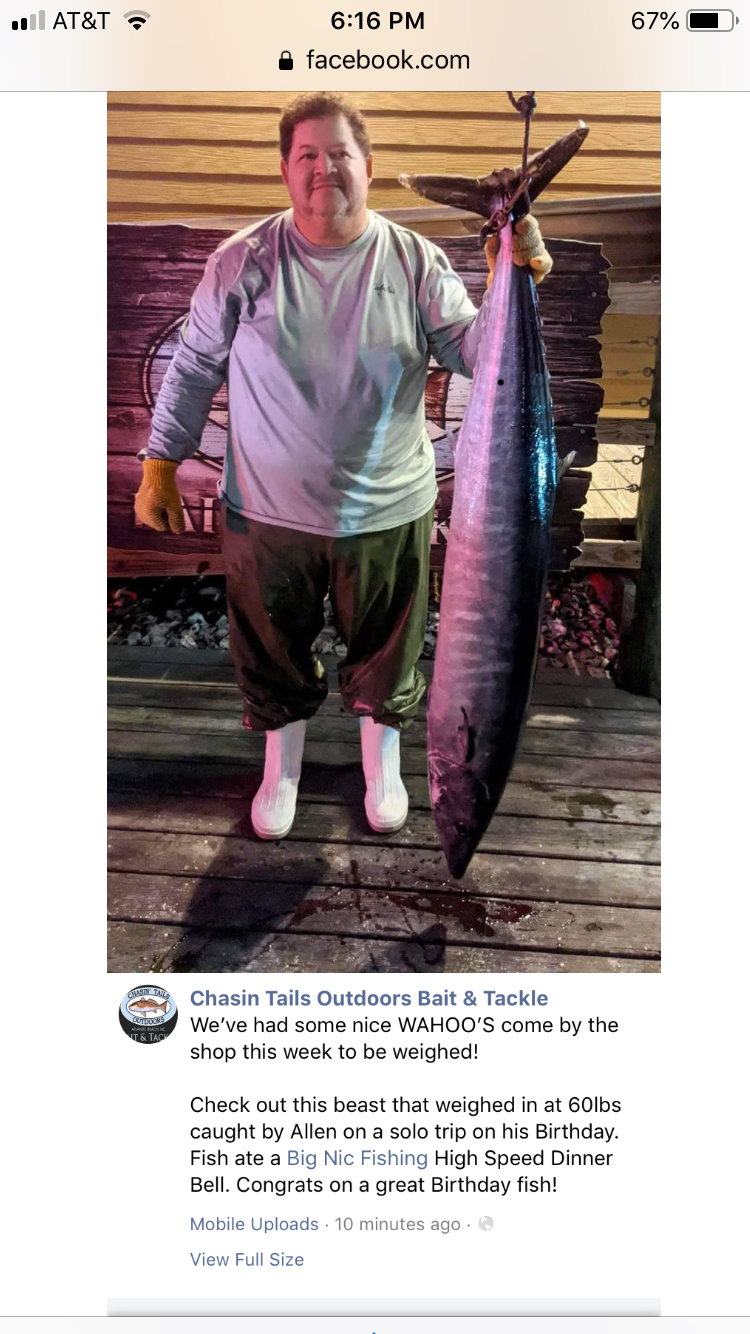 5 Wahoo Caught With Ballyhood Cowbell Lures 