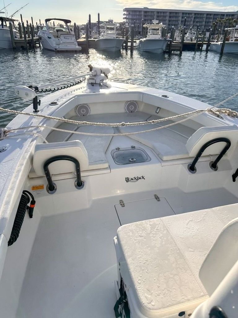 Blackjack 256 Coastal 2019 The Hull Truth Boating and Fishing Forum